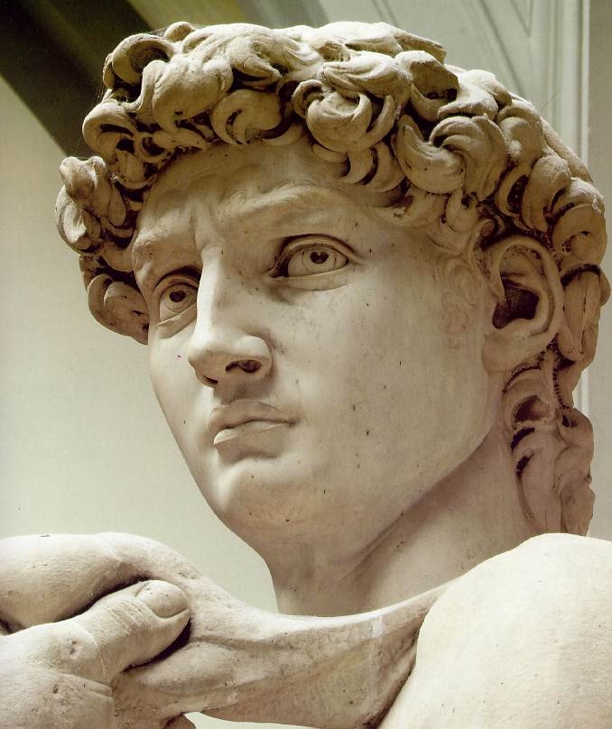 2005-02-10 - Michelangelo David head