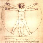 2005-11-07-Leonardo-da-Vinci-anatomical-man