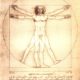 2005-11-07-Leonardo-da-Vinci-anatomical-man