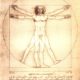 2005-11-07-Leonardo-da-Vinci-anatomical-man