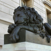 2014-03-07 - Corcoran Beaux-Arts lion