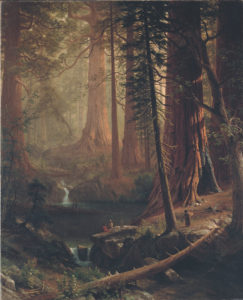 Albert Bierstadt Giant Redwood Trees of California
